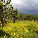 Il Melograno