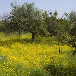 Il Melograno Alojamento de Turismo Rural San Leonardello