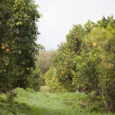 Il Melograno Farm stay *