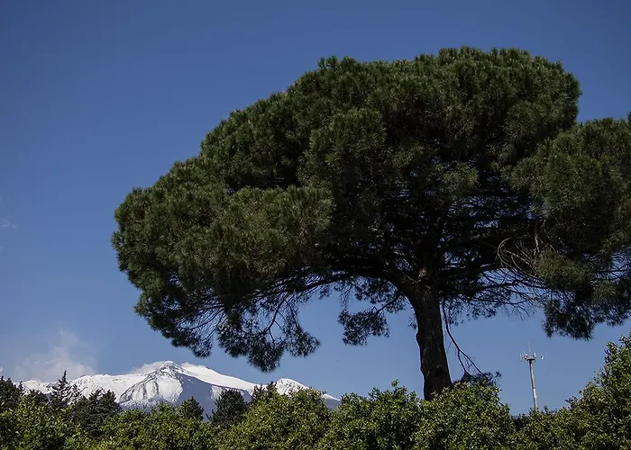 Il Melograno * San Leonardello