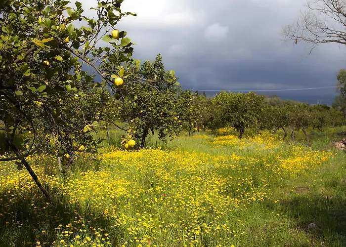Il Melograno